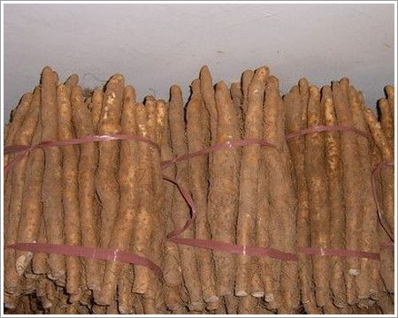 散装山药 散装山药